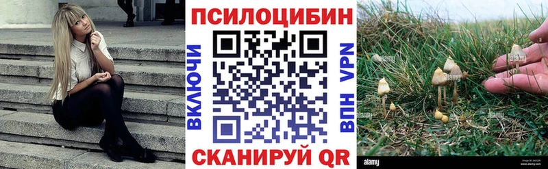 Псилоцибиновые грибы мухоморы Багратионовск